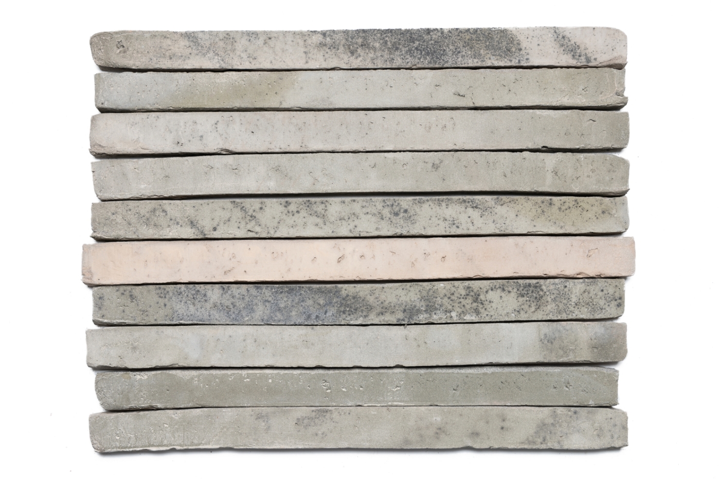 brickz on brickz MUD tee flexwitme Brickz on B ロンT 白