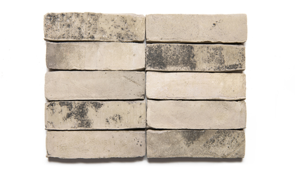 Image de NATURE10 Brick R Plaquette de parement