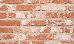 Picture of Old Volkeghem Brick Slips