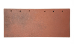 Bild von Flamed Red