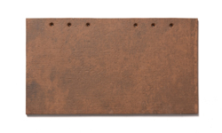 Image de Tampico Brown